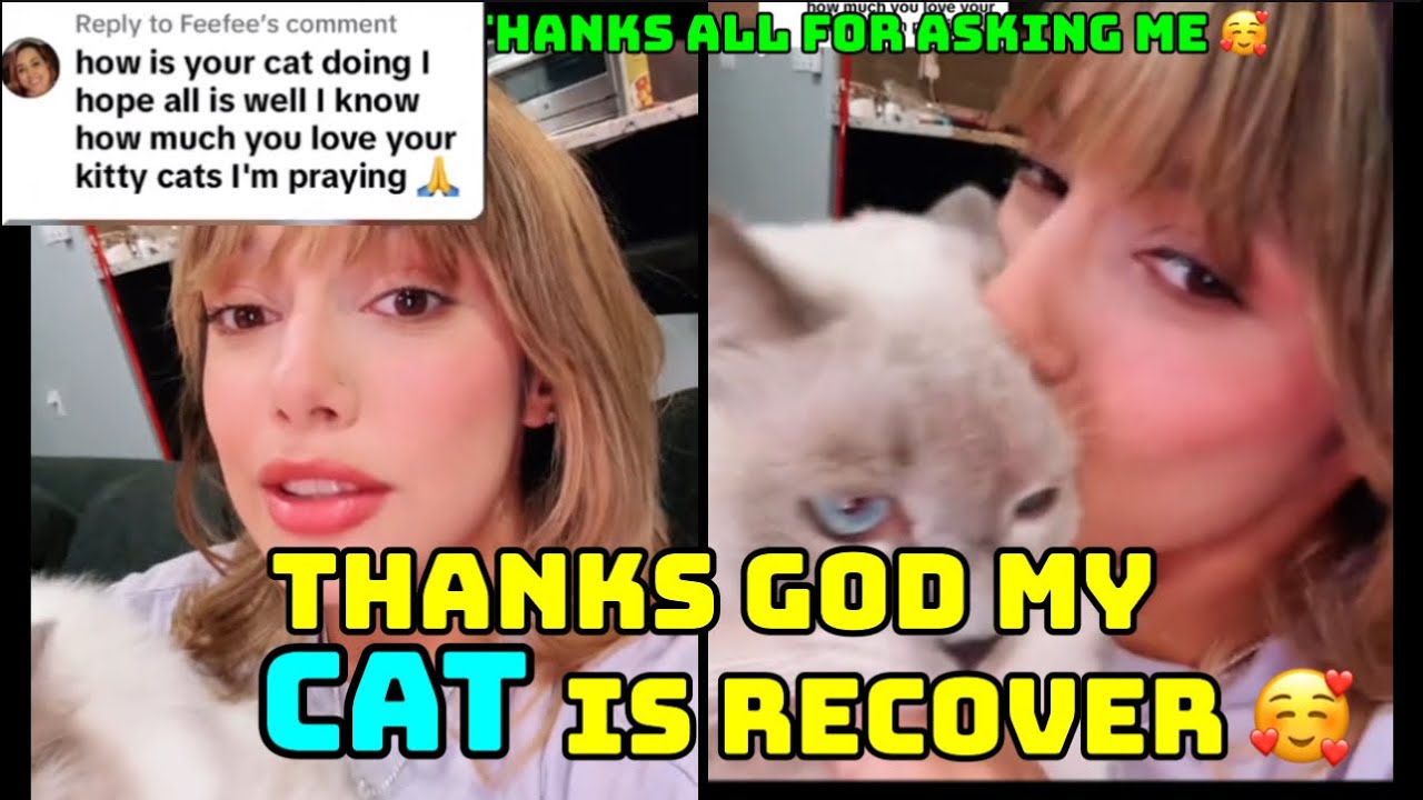 My Pussy Cat Recover Thanks God | Amariah Morales Pets ?2024 - YouTube